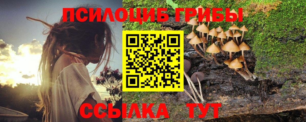 Галлюциногенные грибы мицелий  Вход с VPN  Галлюциногенные грибы MAGIC MUSHROOMS  Тара 